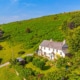 Rural image of two semi-detached whitewashed country cottages nestled in to the hillside with lush green vegetation trees and shrubbery all around