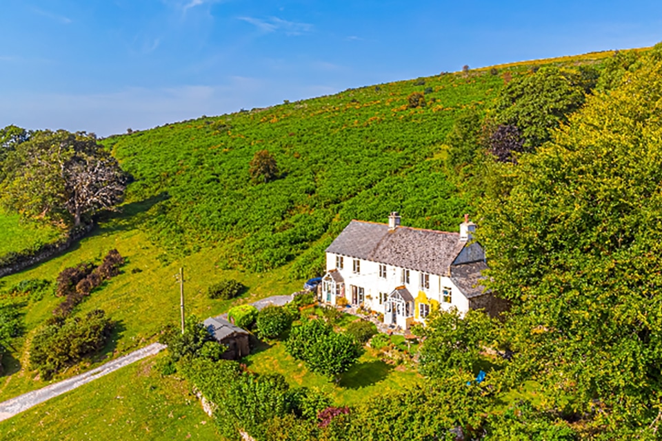 Rural image of two semi-detached whitewashed country cottages nestled in to the hillside with lush green vegetation trees and shrubbery all around