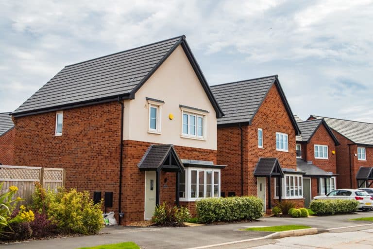 New build small detached brick built home frontages with established garden shrub planting