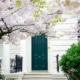 Pretty pink blossom tree canopy framing a white washboard home entrance with teal front door and brass knocker stone steps and ornate black railings