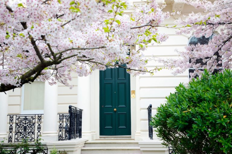 Pretty pink blossom tree canopy framing a white washboard home entrance with teal front door and brass knocker stone steps and ornate black railings