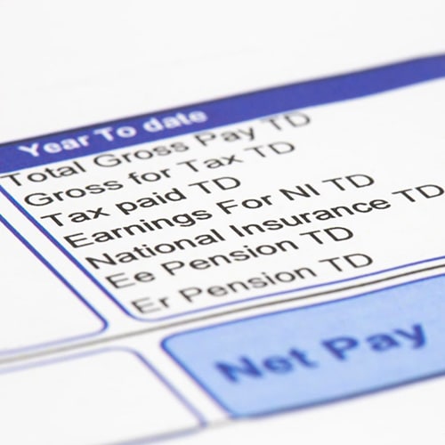 Close up of pay slip with Year To Date list of contribution criteria and Net Pay total box in blue and white