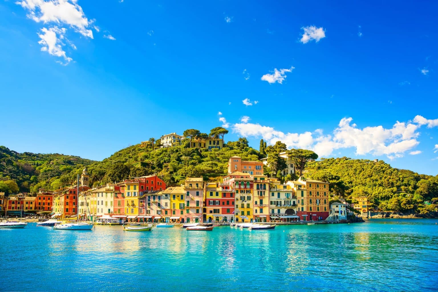 Multi coloured lakeside Italian houses in Portofino wrapped around wooded headland with small boats moored in front